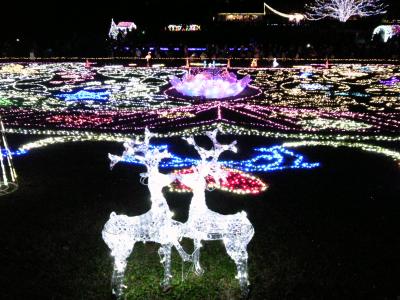 2011年クリスマス_昭和記念公園 イルミネーション(20111217）-2