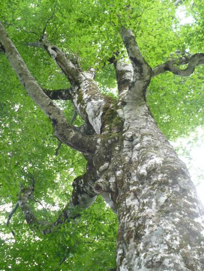 青森・弘前・深浦