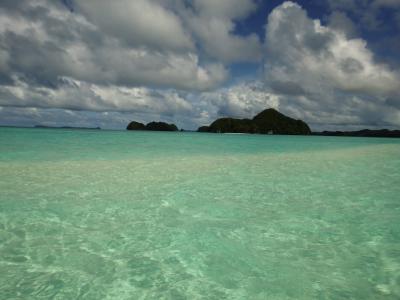 パラオデビュー