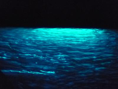 南イタリアとローマ