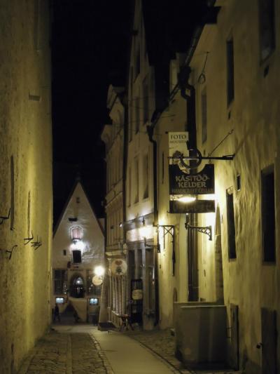 タリン&ヘルシンキに行ってきました!一人で…①(タリン編)