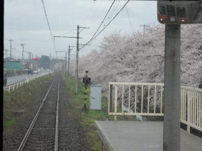 コロプラの旅～11年04月 花いっぱい位置ゲーの旅 ＊東北各社編～