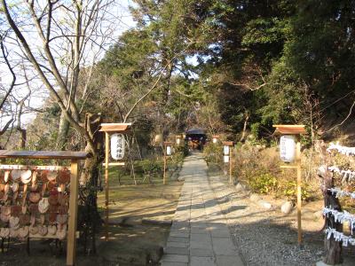 ヘタレのための初詣、鎌倉編2012～鶴岡八幡宮失敗⇒葛原岡神社＆銭洗弁天ハイキング～