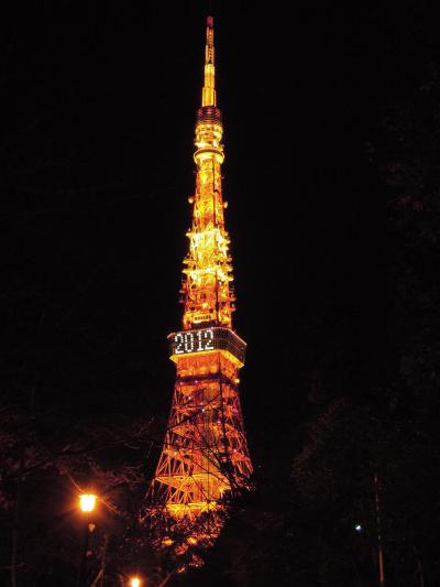 【東京都（港区）】ライトアップされた東京タワーと夜のお台場