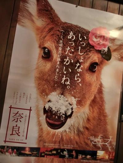 奈良コミュ　新年ごあいさつ オフ会