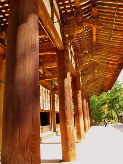 西ノ京-3　唐招提寺　金堂大修理を終えて　☆鑑真和上の墓所にも