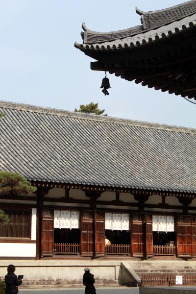 祝！ガブちゃんお誕生日♪　＆　ハッピーニュー　イヤ～ン♪　奈良コミュ・新年初詣オフ会　①　～唐招提寺編～