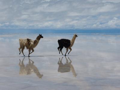 雨季のボリビアへ　ウユニ塩湖編