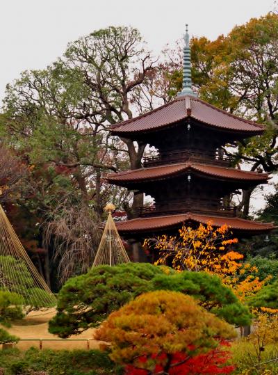 椿山荘　日本庭園（紅葉・椿咲く）ひとめぐり　☆三重塔を改修・七福神の石像など