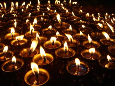 困難クライマーおんねこのひとり旅～チベット林芝編～