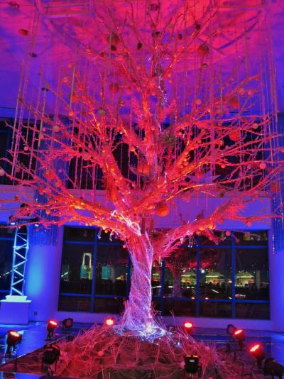 お台場-2　アクアシティ　海に浮かぶ大樹　illumination　☆自由の女神像も 