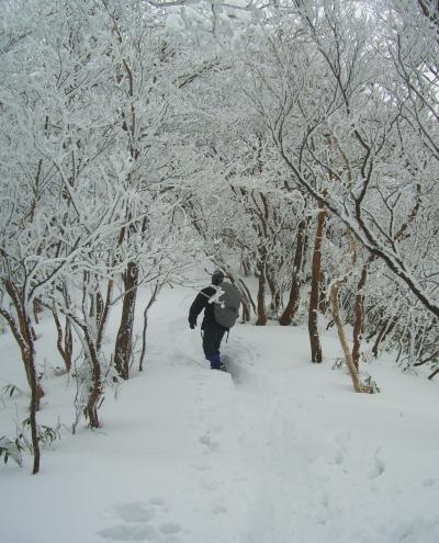 吹雪山賛歌　綿向山