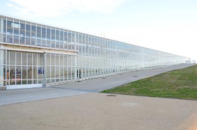 パリからの小旅行(13)アヴィニョン