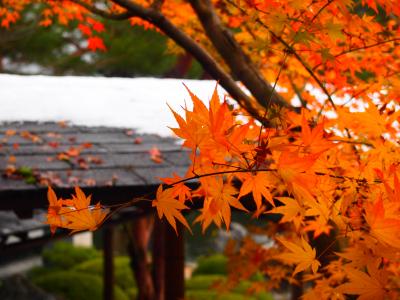 初めての山陰！！～やっぱり日本っていいな～の旅。～　その１