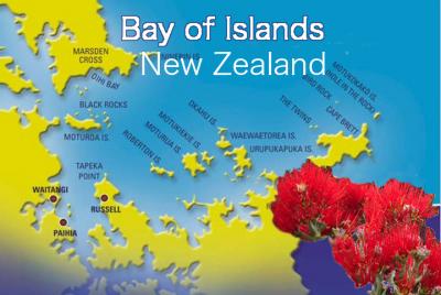 ポフツカワ咲くBay of Islands（NZ)