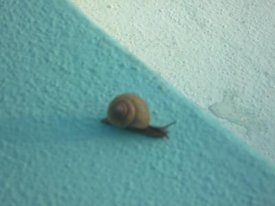 久しぶりの探検隊