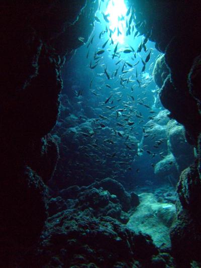 黒島、竹富島で潜る（２）