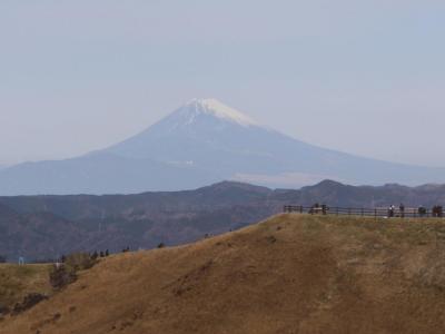 東京へ…４００㎞の旅=⑦さくらの里&大室山=