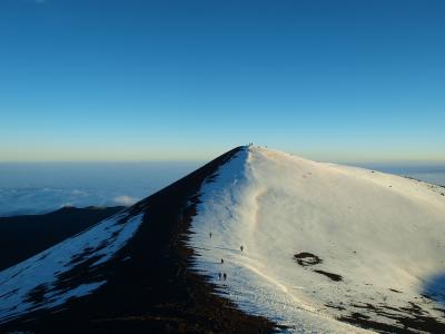 ダイナミックに