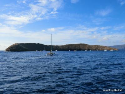 バレーアイランド　マウイ島　～モロキニ島、ラハイナ～