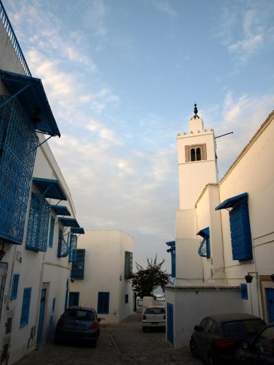 チュニジア旅行2010⑥シディ・ブ・サイド(Sidi Bou Said)～チュニジアで最も美しい街～