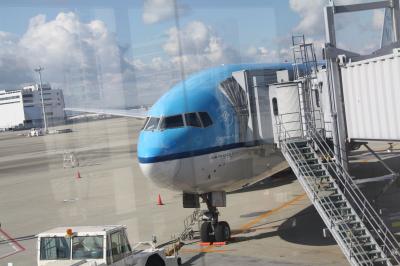 2011年 年末恒例 ばたばた旅行記 【日本脱出→アムステルダム→ブダペスト】編