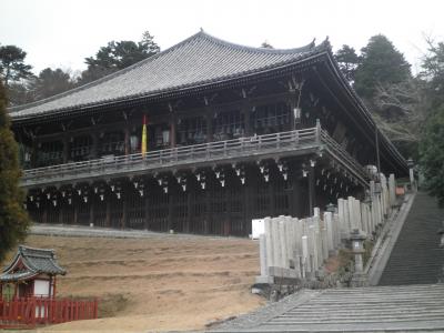 奈良公園と東大寺周辺散策
