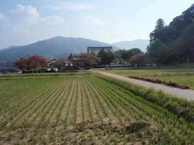 秋の旅　2010　その２　in　奈良　～明日香村～