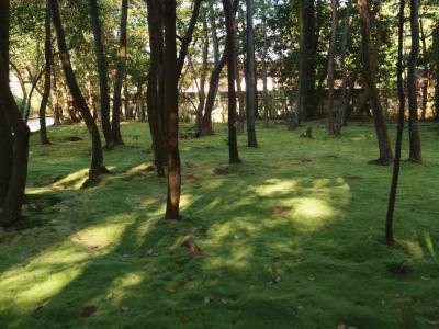 師走　奈良　苔の美しい　秋篠寺