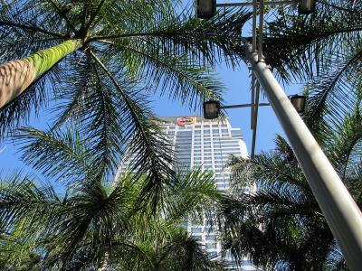 2012 1月 バンコク(両替)