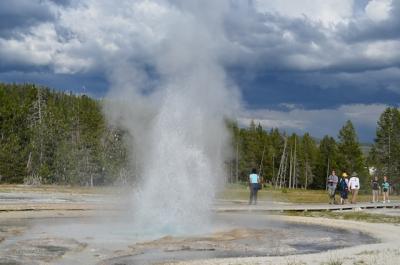 Yellowstone National Park 2　（2011年夏の旅行記）