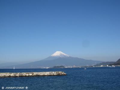 西伊豆  絶景！　「富士山めぐり」の旅