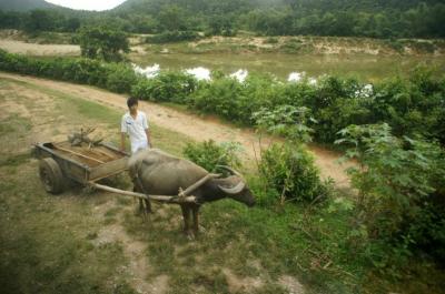 ベトナム南北統一鉄道の旅 − 夜行列車で ハノイからフエへ