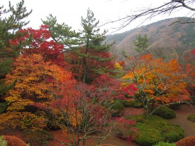 箱根 紅葉を愛でる旅 @ 蓬莱園(小涌谷)