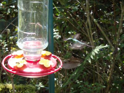 2011年12月　エクアドルとガラパゴス諸島　その③　キト郊外編