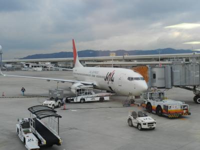 出発～鹿児島空港◆2011年年末・南九州４県の旅≪その１≫