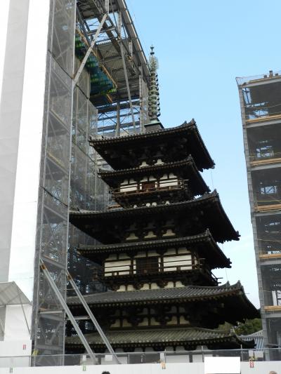 『草の戸』でランチ～『薬師寺』～『ガトー・ド・ボワ』でカフェ◆奈良コミュ初詣オフ会≪後編≫