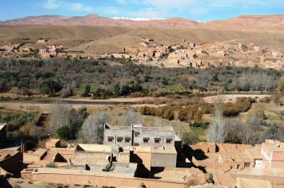2012正月、モロッコ王国旅行記(18/49)：1月8日(4)：カスバ街道をエルフードへ、オアシスの町・ティネリール