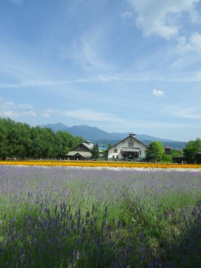 真夏の北海道!快晴の富良野・美瑛旅