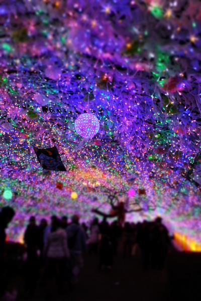 ふじのくに静岡ぐるり旅【17】～冬のイルミネーション2011-2012～御殿場高原時之栖