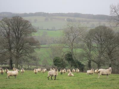 I Love UK! I Love Brighton!! ~冬のコッツウォルズを歩こう♪~