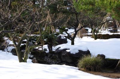 土佐の初がつお旅記録　兼六園編