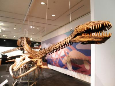 岡山市デジタルミュージアム「ＯＣＥＮ！海はモンスターでいっぱい」