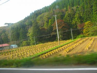 一関市から気仙沼あたりの光景