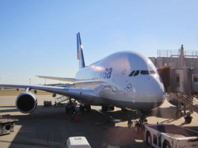 ぬてまろがイタリア①日目 怒涛の乗り継ぎ