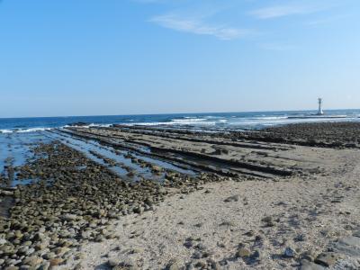 宮崎といえば「青島」と「鬼の洗濯板」！◆2011年年末・南九州４県の旅≪その５≫