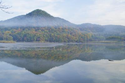 紅葉の京都を自転車で巡る