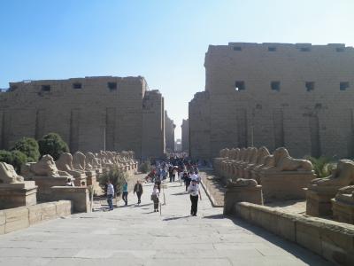 エジプト２０１０−２０１１年末年始旅行記　【１】ルクソール１（カルナック神殿）