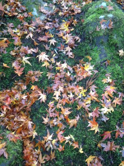 母の誕生日旅行