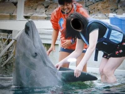 沖縄旅行④　イルカ～